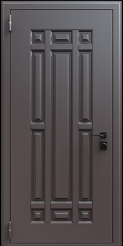 Входная термодверь с металлофиленкой и порошковым окрашиванием RAL 8019 (тип №12)